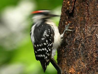 şəkil 6 Photography